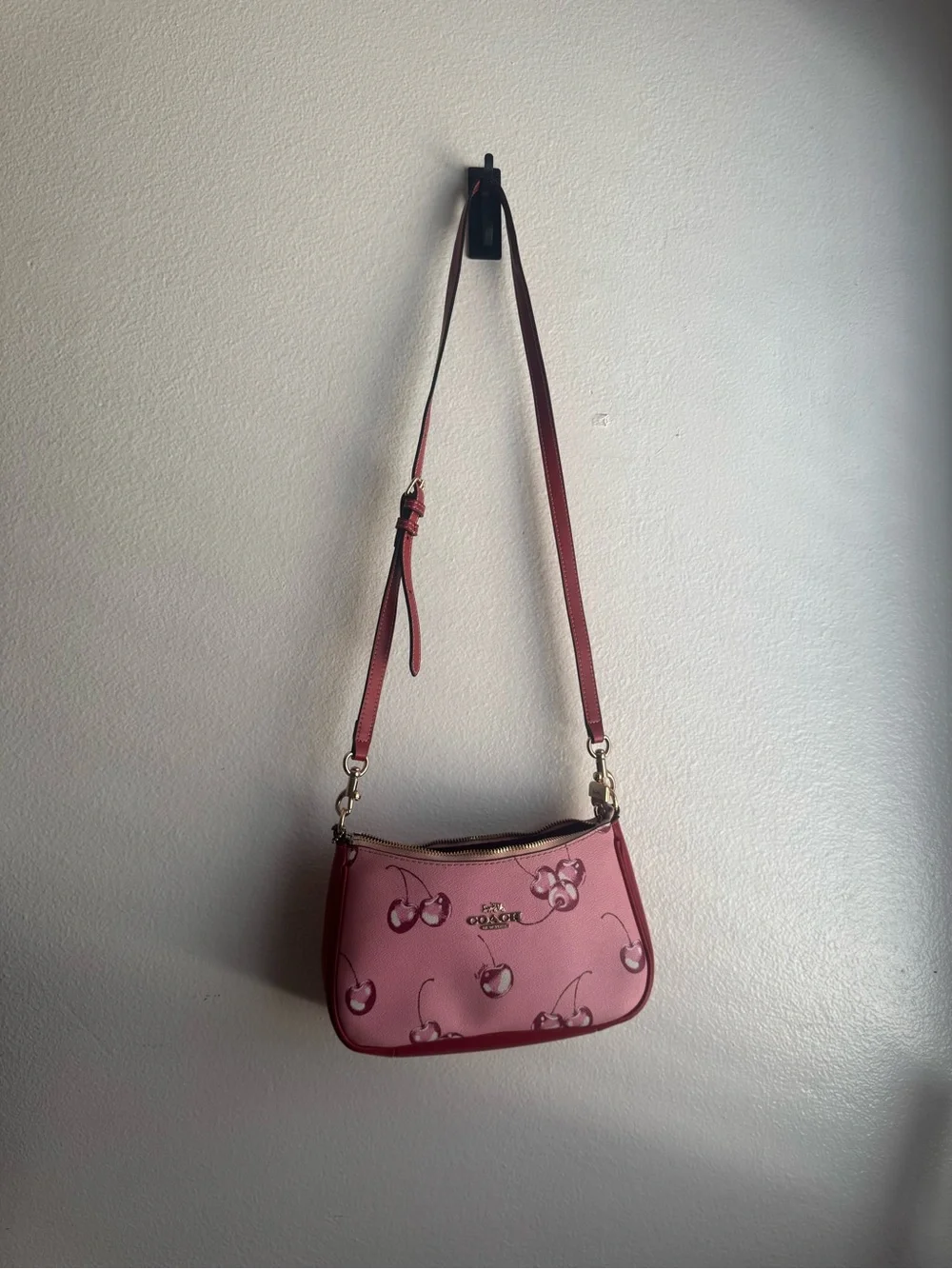 Cherry Print Coach Bag - Picture 7 of 7